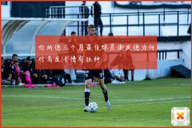 伦纳德三个月最佳球员谢泼德为何对乌度卡情有独钟
