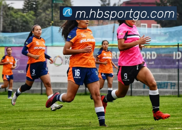 黑白体育APP 高清赛事图